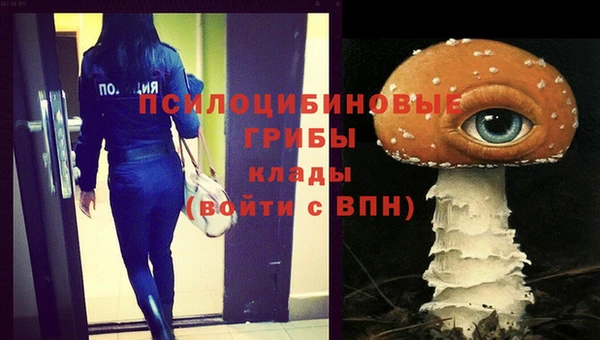 герыч Абаза