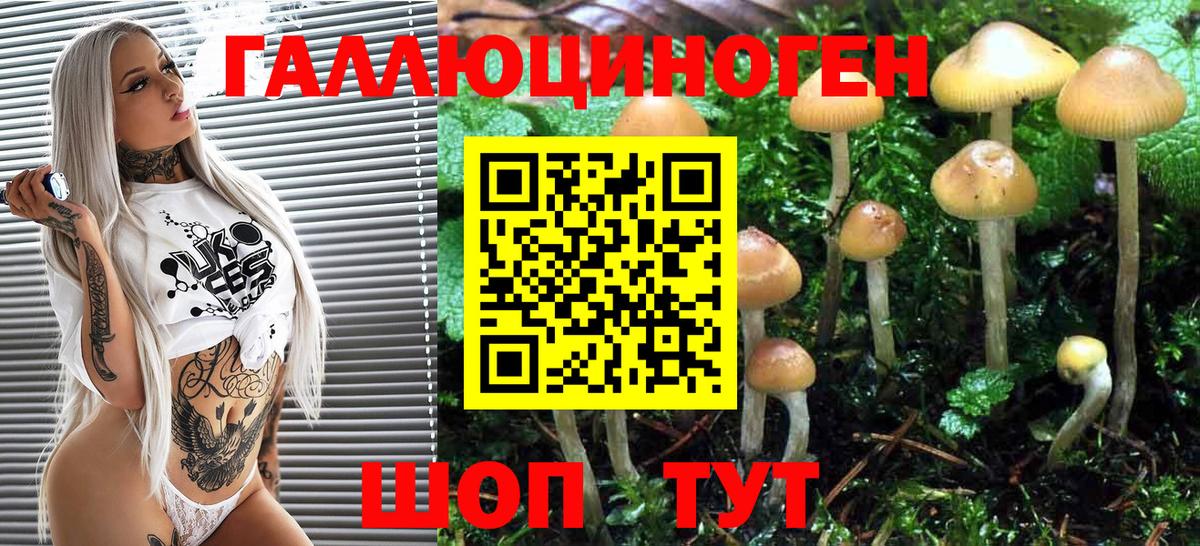 Псилоцибиновые грибы GOLDEN TEACHER Ярославль